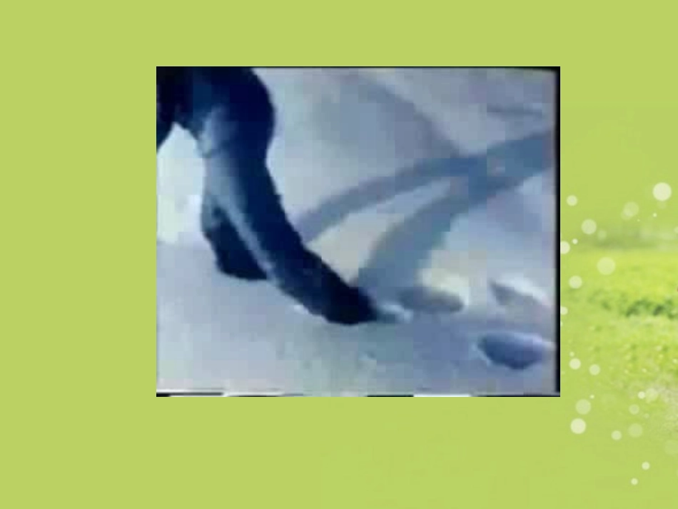 2013年八年级物理全册-8.1-压强教学课件-沪科版(新课标)_第3页