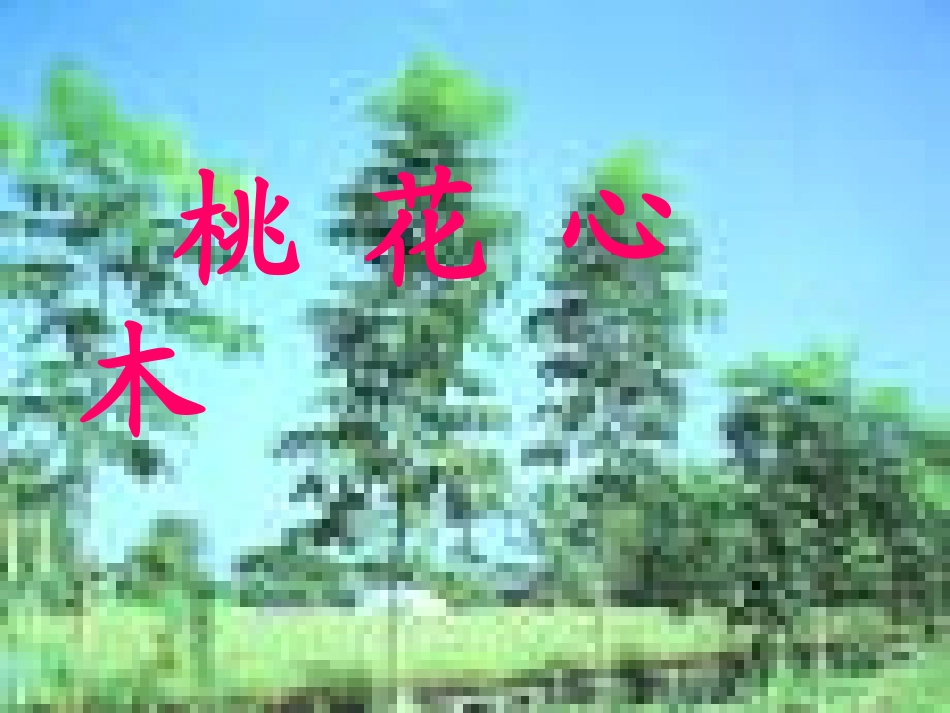 3桃花心木2_第1页