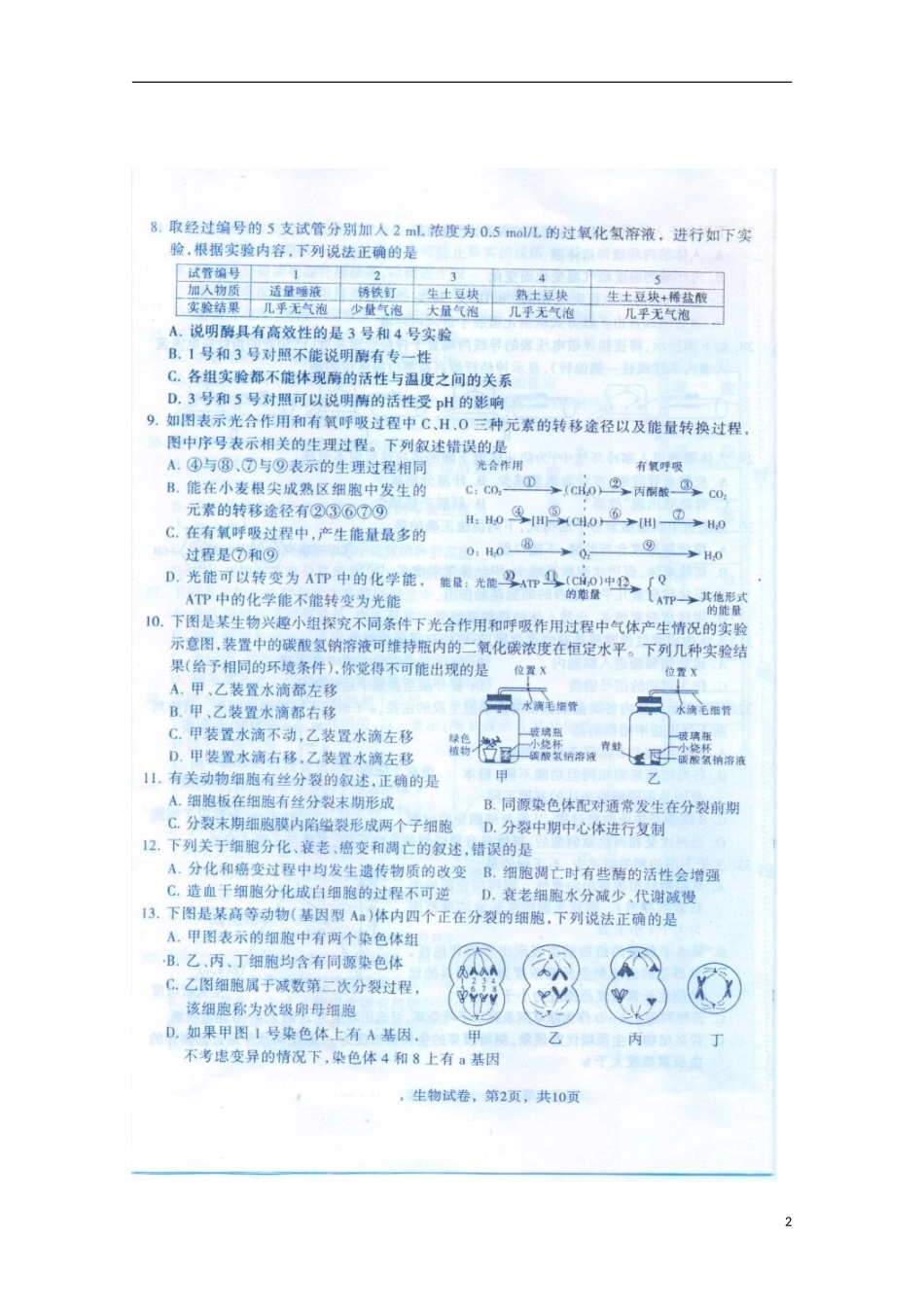 河北省故城县2013届高三生物模拟演练(八)试题(扫描版)_第2页
