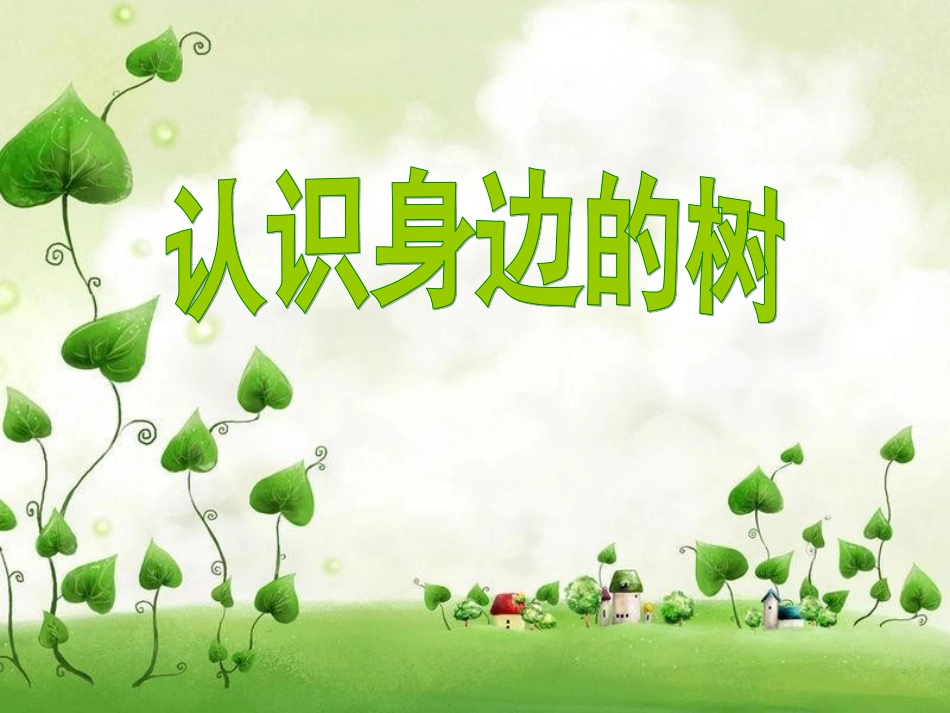 人美版小学美术二年级下册《认识身边的树》课件_第1页