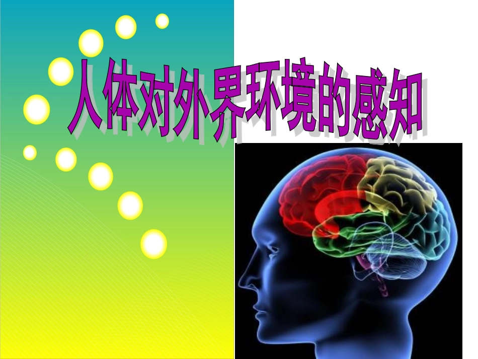 人教版七年级下册生物《人体对外界环境的感知》课件_第2页