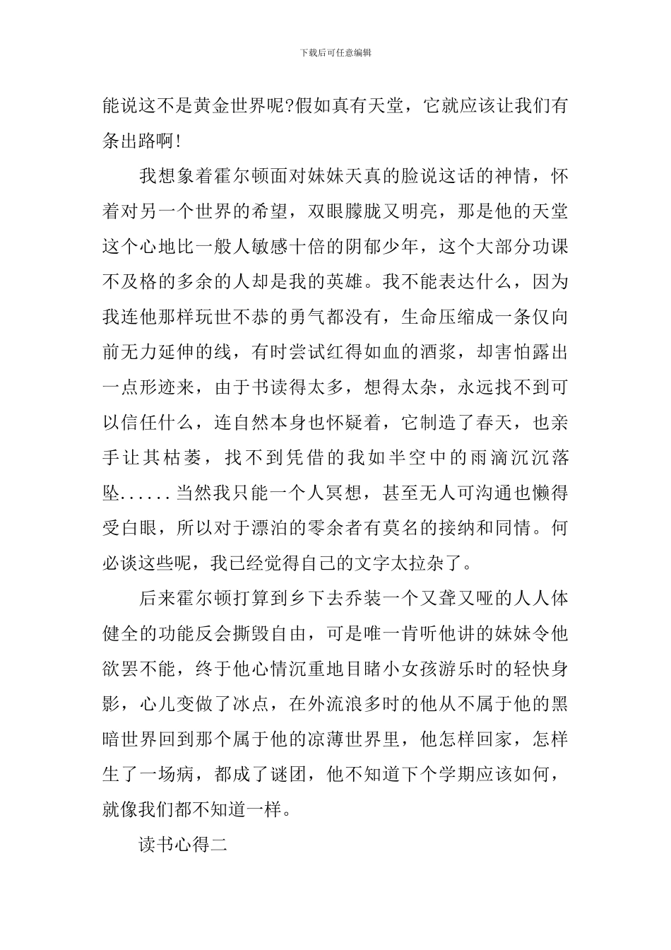 描述关于麦田里的守望者的心得体会_第3页