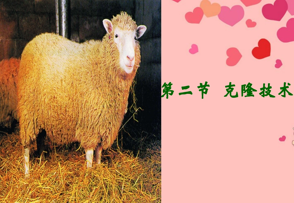 山东省高密市银鹰文昌中学八年级生物下册《7.2.2克隆技术》课件-济南版_第2页