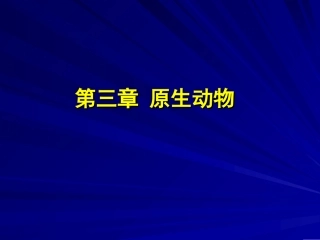 第三章原生动物