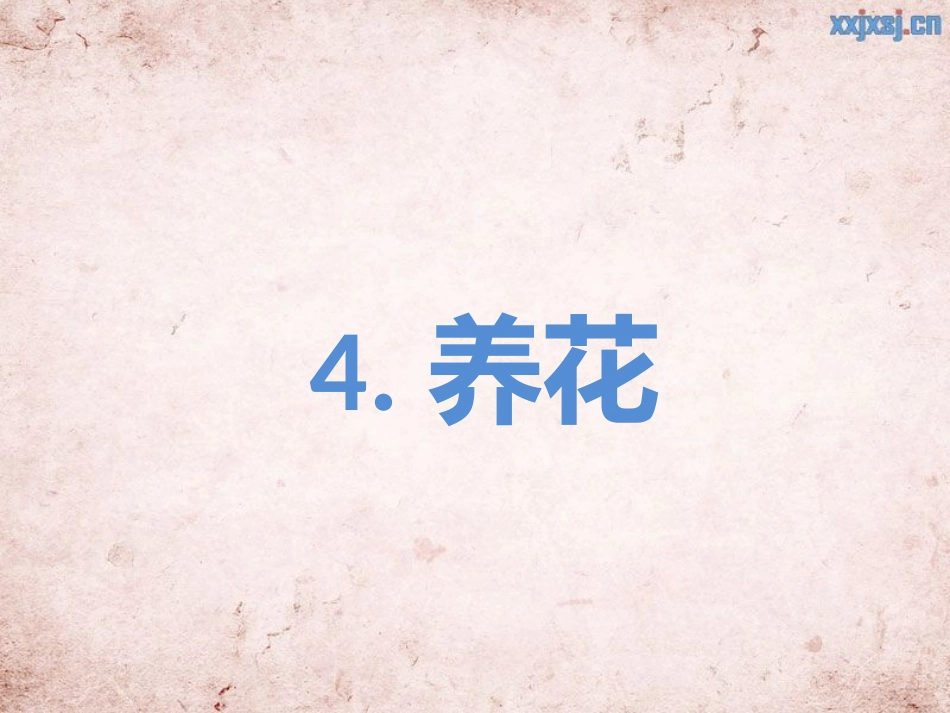 4.养花MicrosoftOfficePowerPoint演示文稿_第1页