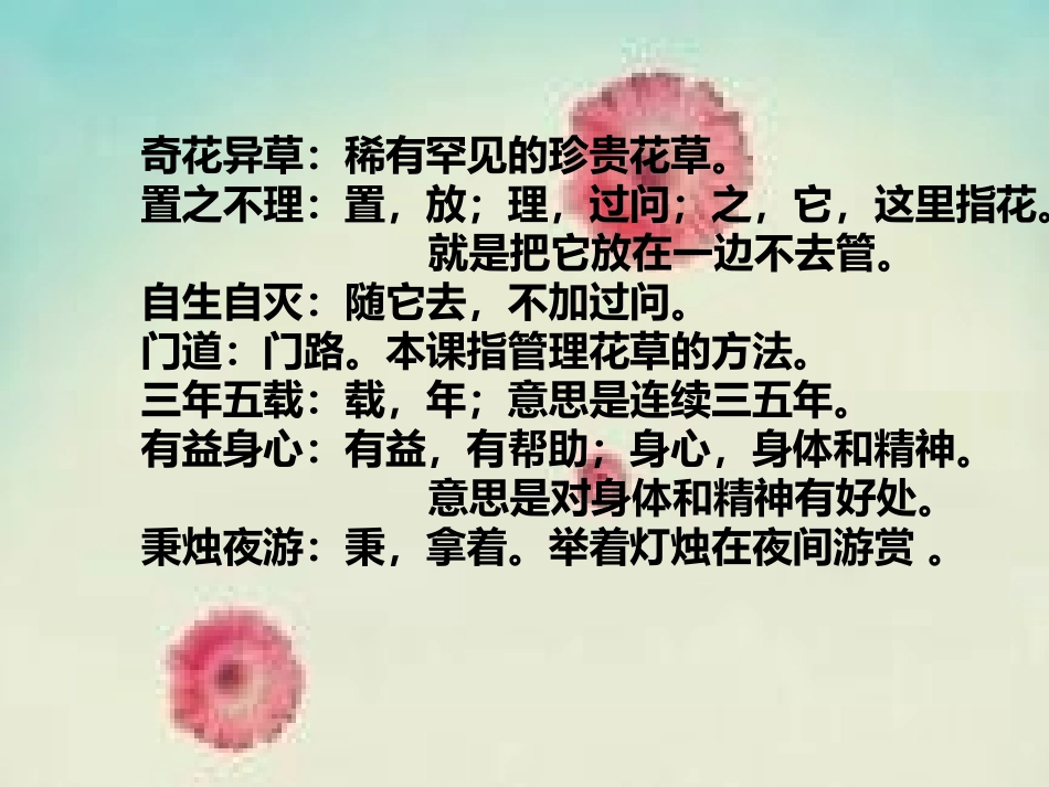 4.养花MicrosoftOfficePowerPoint演示文稿_第2页