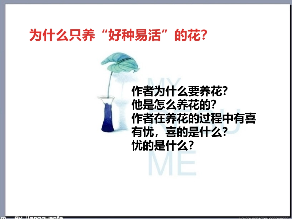 4.养花MicrosoftOfficePowerPoint演示文稿_第3页