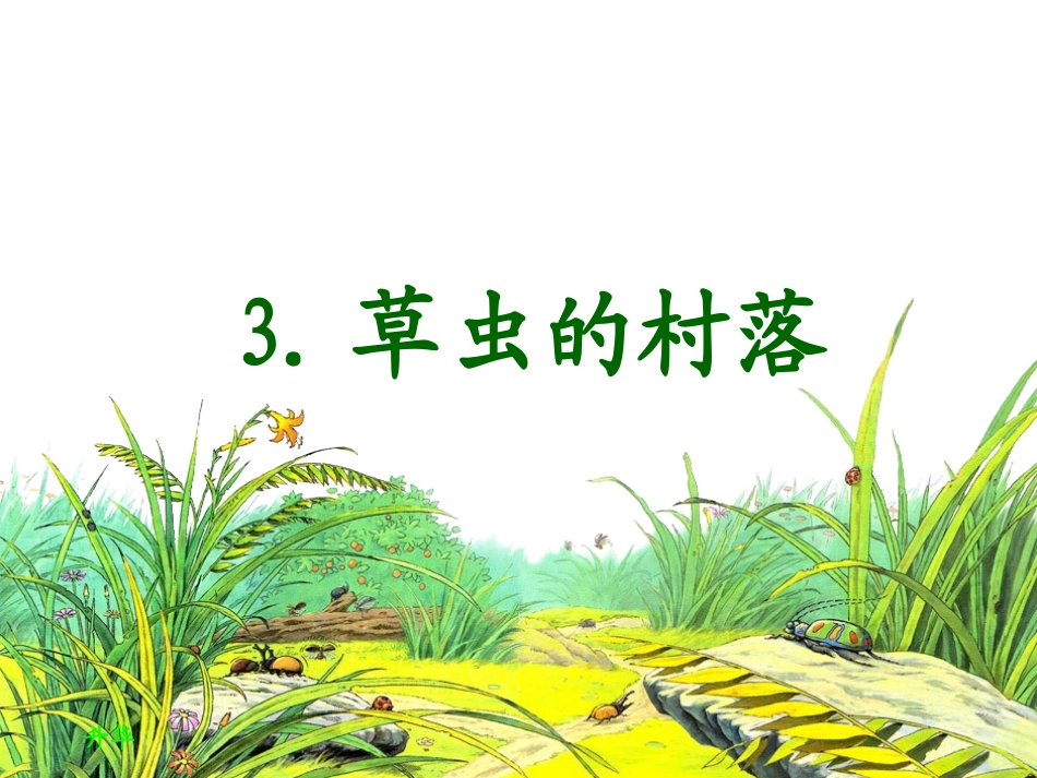 草虫的村落课件[1]_第1页
