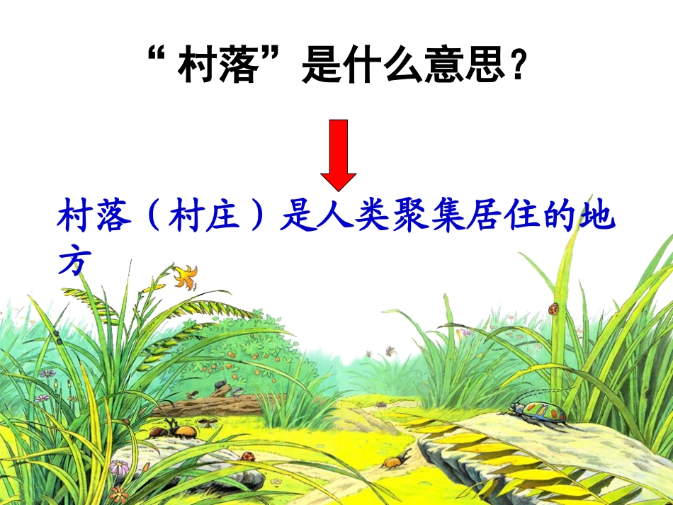 草虫的村落课件[1]_第2页