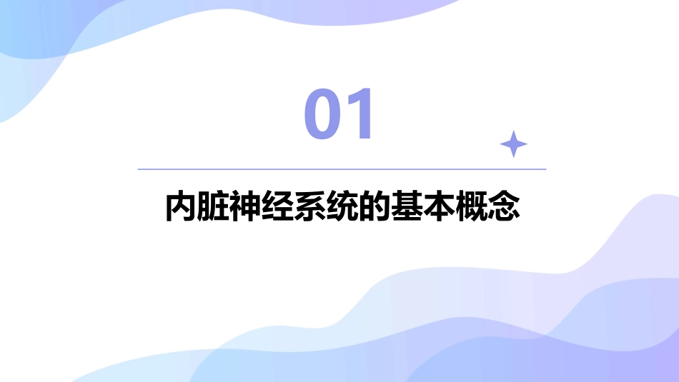 人体解剖学之内脏神经护理课件_第3页