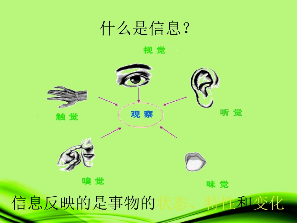浙江省泰顺县新城学校七年级科学《信息的获取和利用》课件(1)_第3页