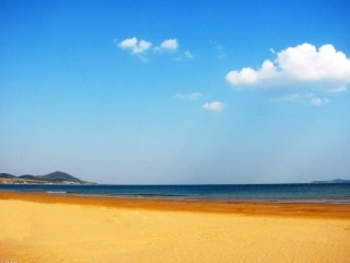 《在金色的海滩上》
