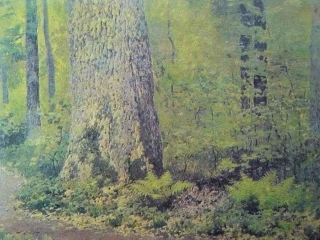 广东省河源市南开实验学校七年级语文上册《树林和草原》课件-语文版