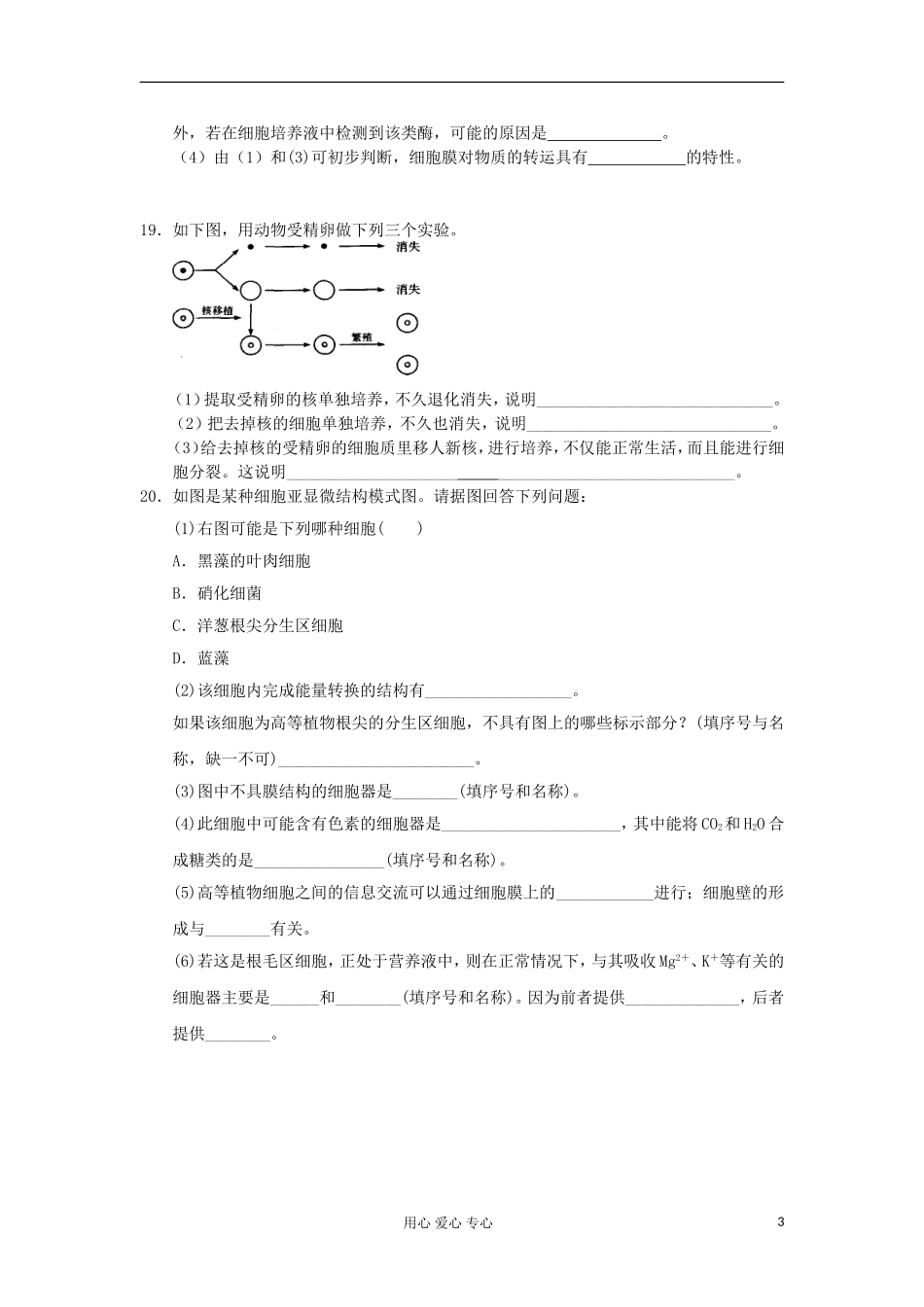 高中生物-3.2-细胞的类型和结构每课一练28-苏教版必修1-_第3页
