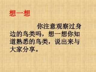 活动：你见过的鸟类