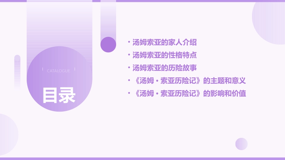 人教版六下《汤姆索亚历险记》课件_第2页