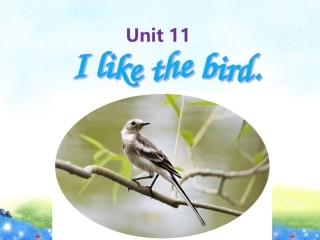 湘少版三年级上《Unit11Ilikethebird》