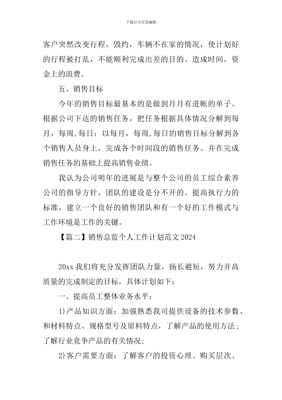 销售总监个人工作计划范文2024_第2页