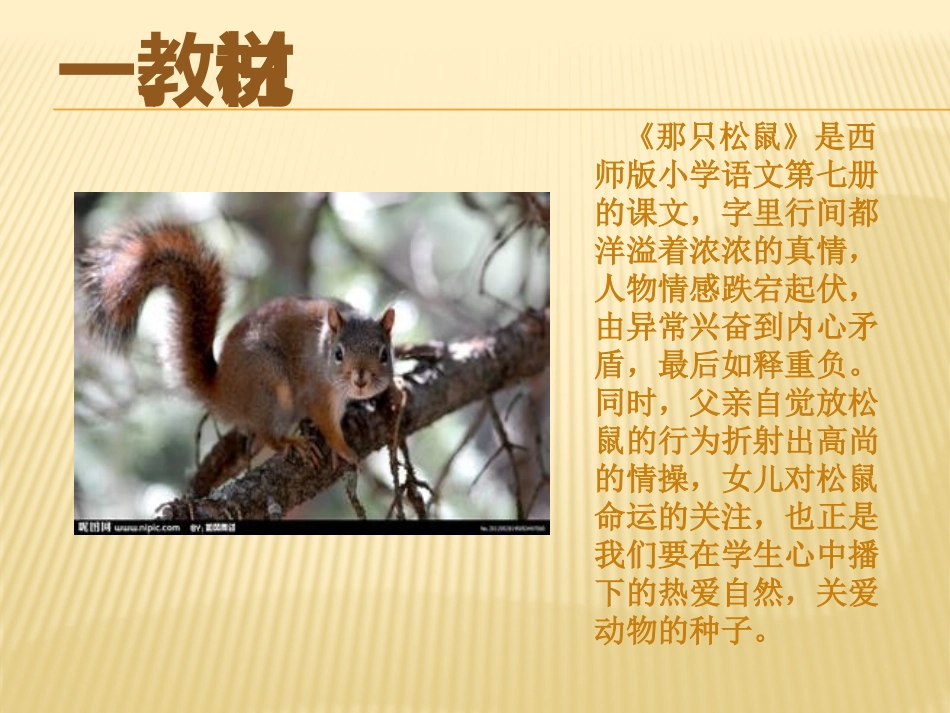 18、那只松鼠电子说课_第2页
