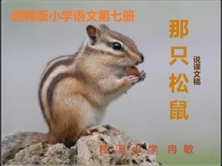 18、那只松鼠电子说课