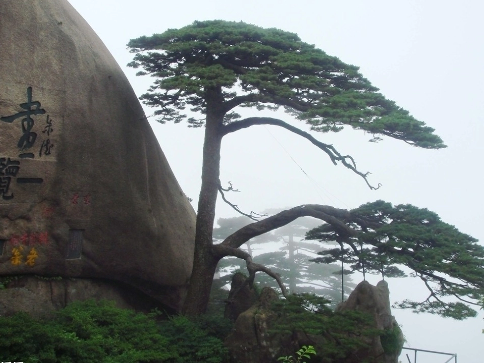 人教2011版小学数学三年级黄山风景欣赏_第1页