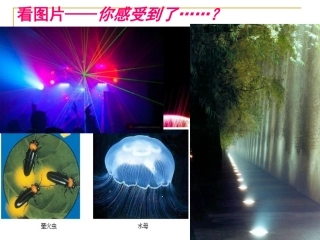 4.1-光的直线传播-谢