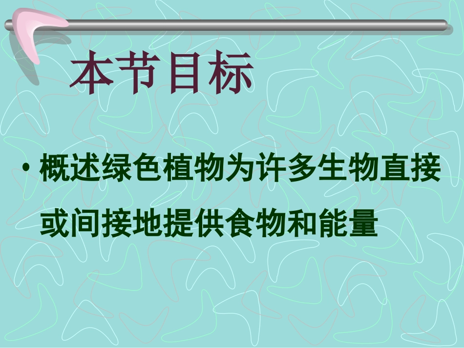 《第一节-绿色植物是食物之源》课件1_第2页
