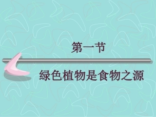 《第一节-绿色植物是食物之源》课件1