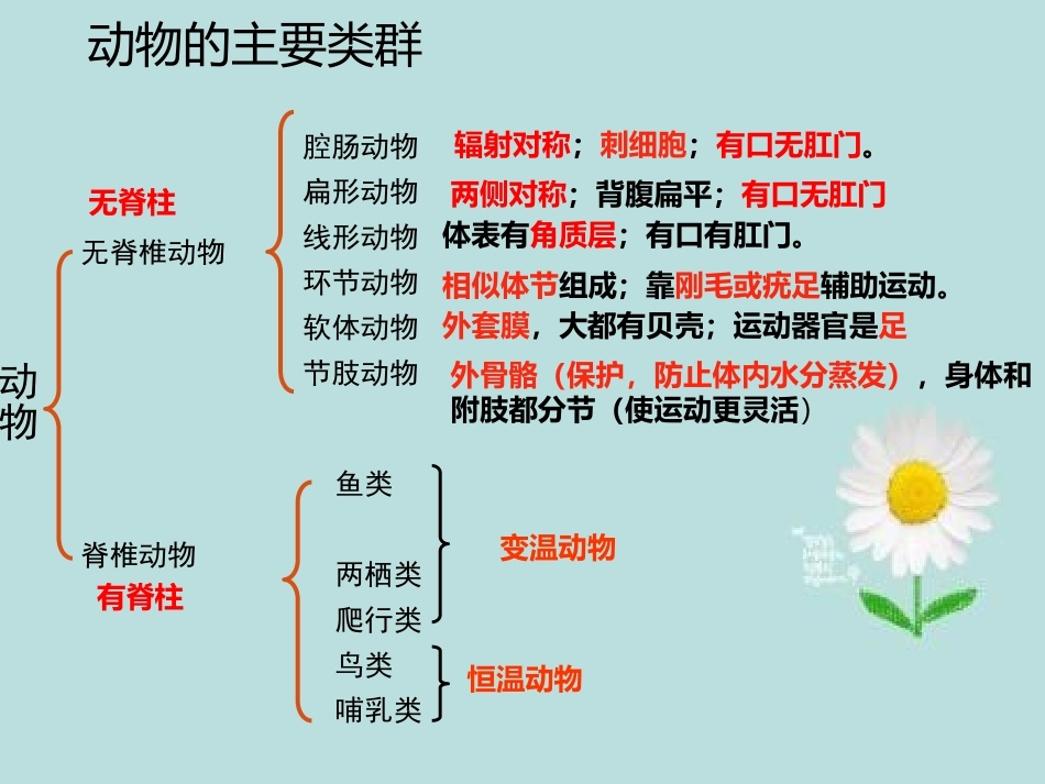 科学·技术·社会-动物与仿生_第1页