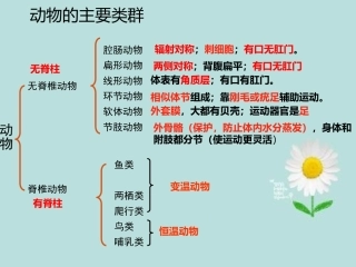 科学·技术·社会-动物与仿生
