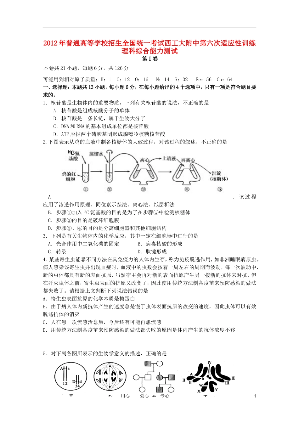 陕西省西工大附中2012届高三理综第六次适应性训练_第1页