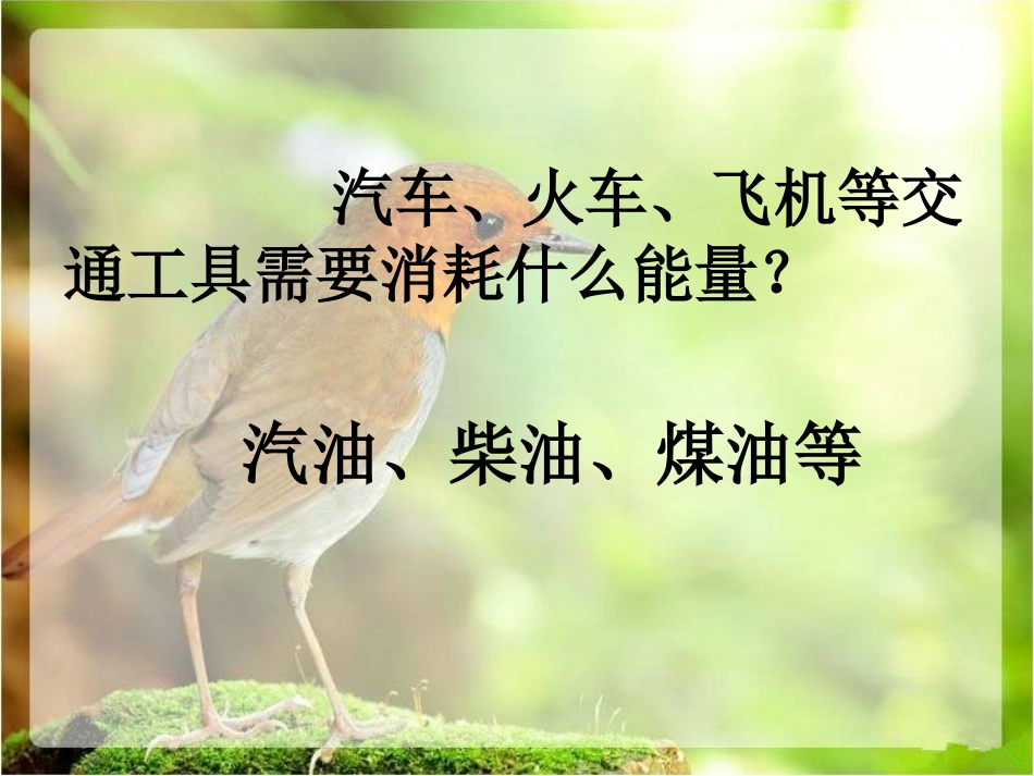 活动：课前提问_第2页