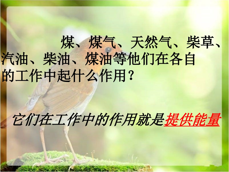 活动：课前提问_第3页