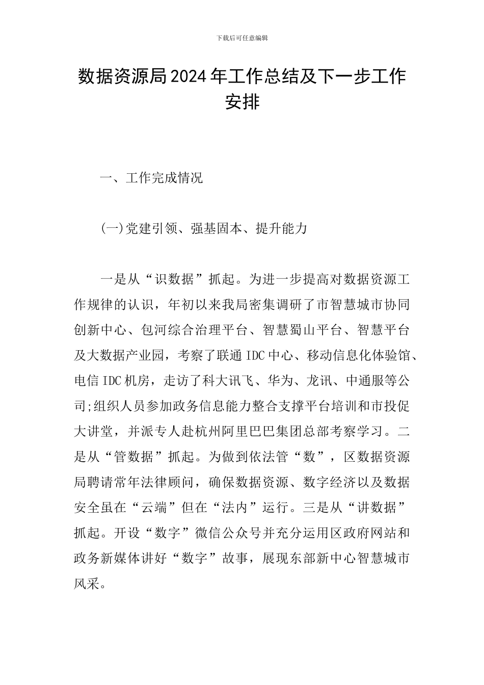 数据资源局2024年工作总结及下一步工作安排_第1页