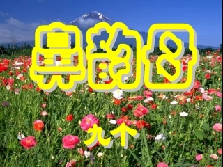 小学语文一年级课件-鼻韵母