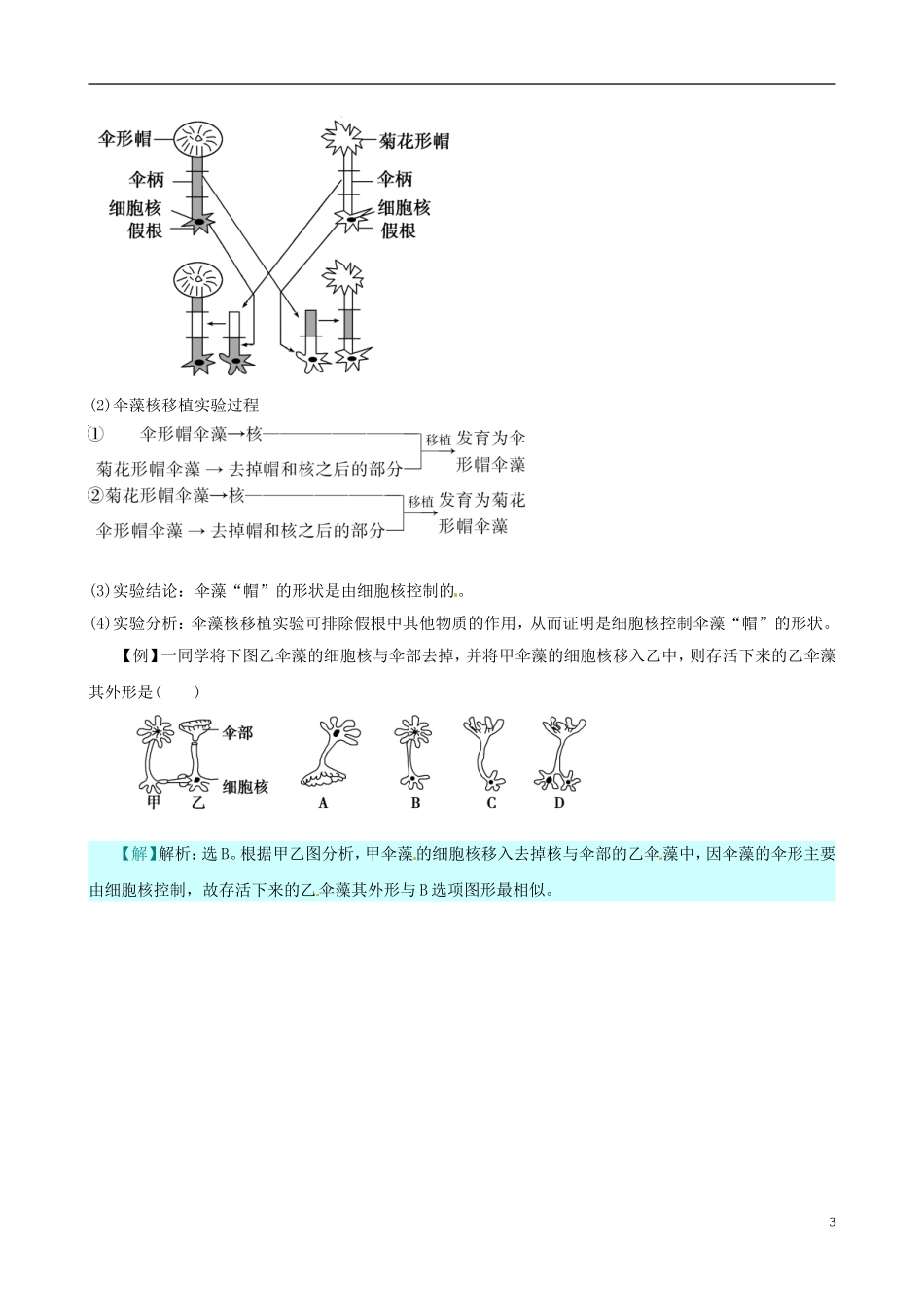 (考纲全景透析)2014届高考生物-3.3-细胞核-系统的控制中心基础复习-新人教版必修1_第3页