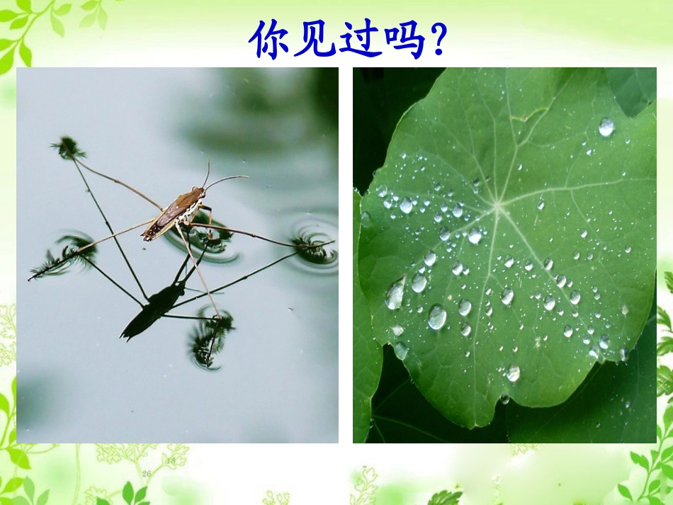 第九章-第二节--液体(P_第3页