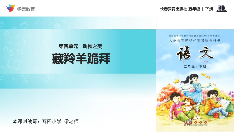 【教学课件】《动物之美藏羚羊跪拜》(长春版)_第1页