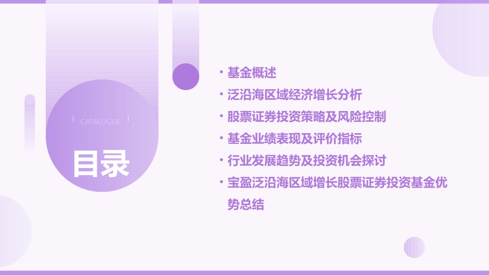 宝盈泛沿海区域增长股票证券投资基金课件_第2页