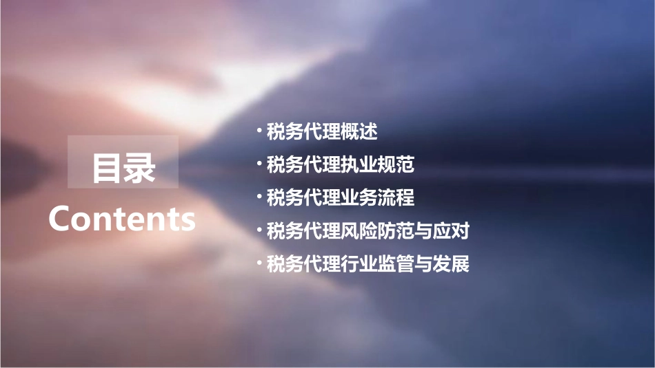 税务代理执业规范课件_第2页