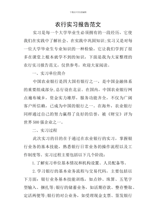 农行实习报告范文