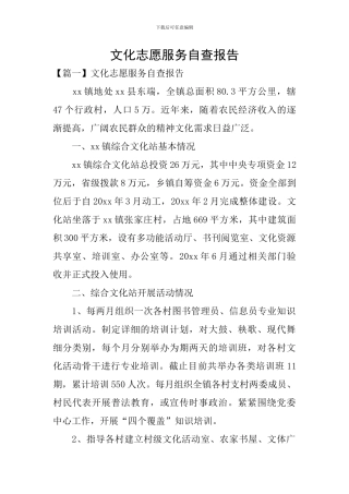 文化志愿服务自查报告