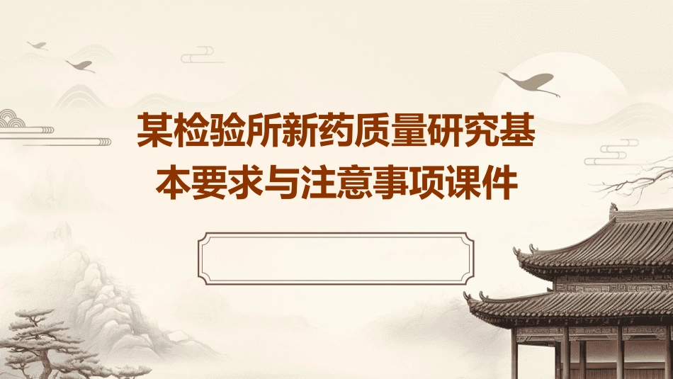 某检验所新药质量研究基本要求与注意事项课件_第1页