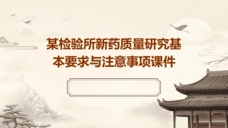 某检验所新药质量研究基本要求与注意事项课件