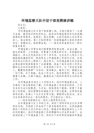 环境监察大队中层干部竞聘演讲稿范文集锦