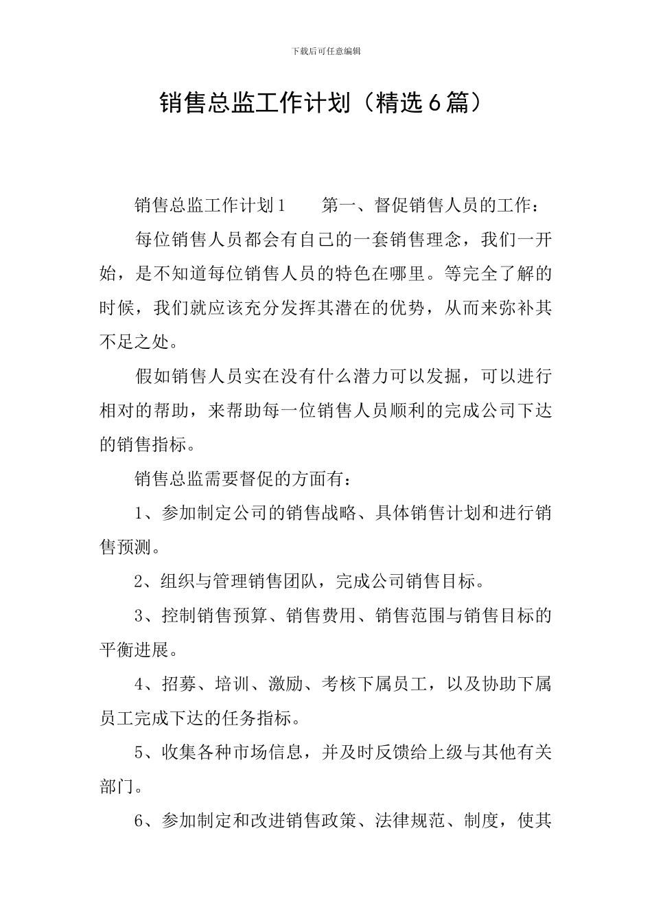 销售总监工作计划_第1页