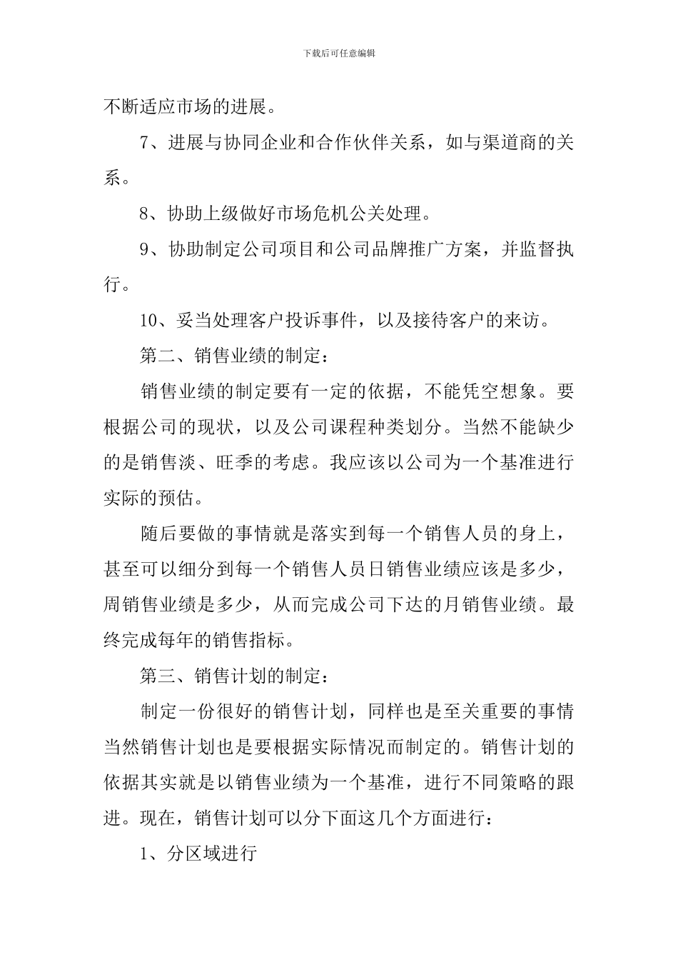 销售总监工作计划_第2页