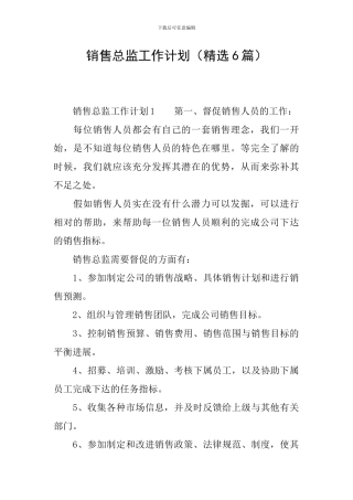 销售总监工作计划