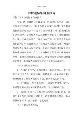 内控达标年自查报告
