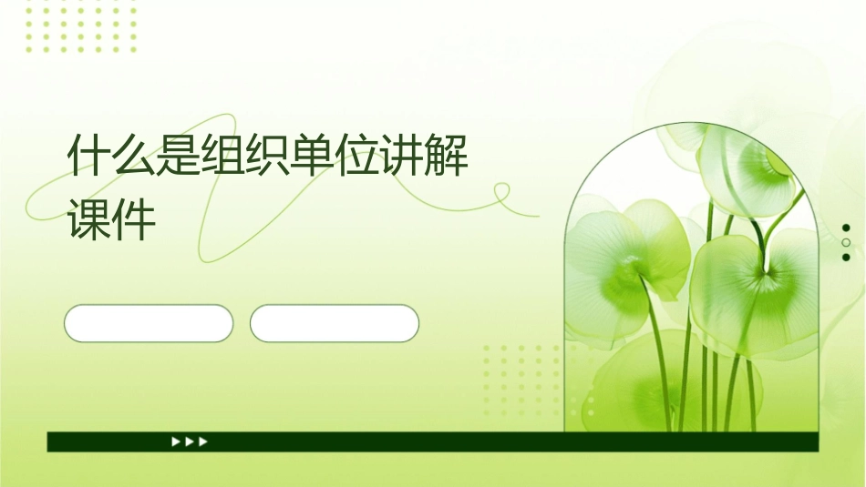 什么是组织单位讲解课件1_第1页